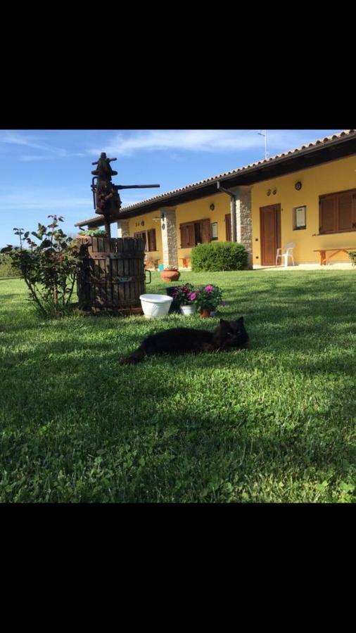 Agriturismo La Noce Bassano Romano Eksteriør billede